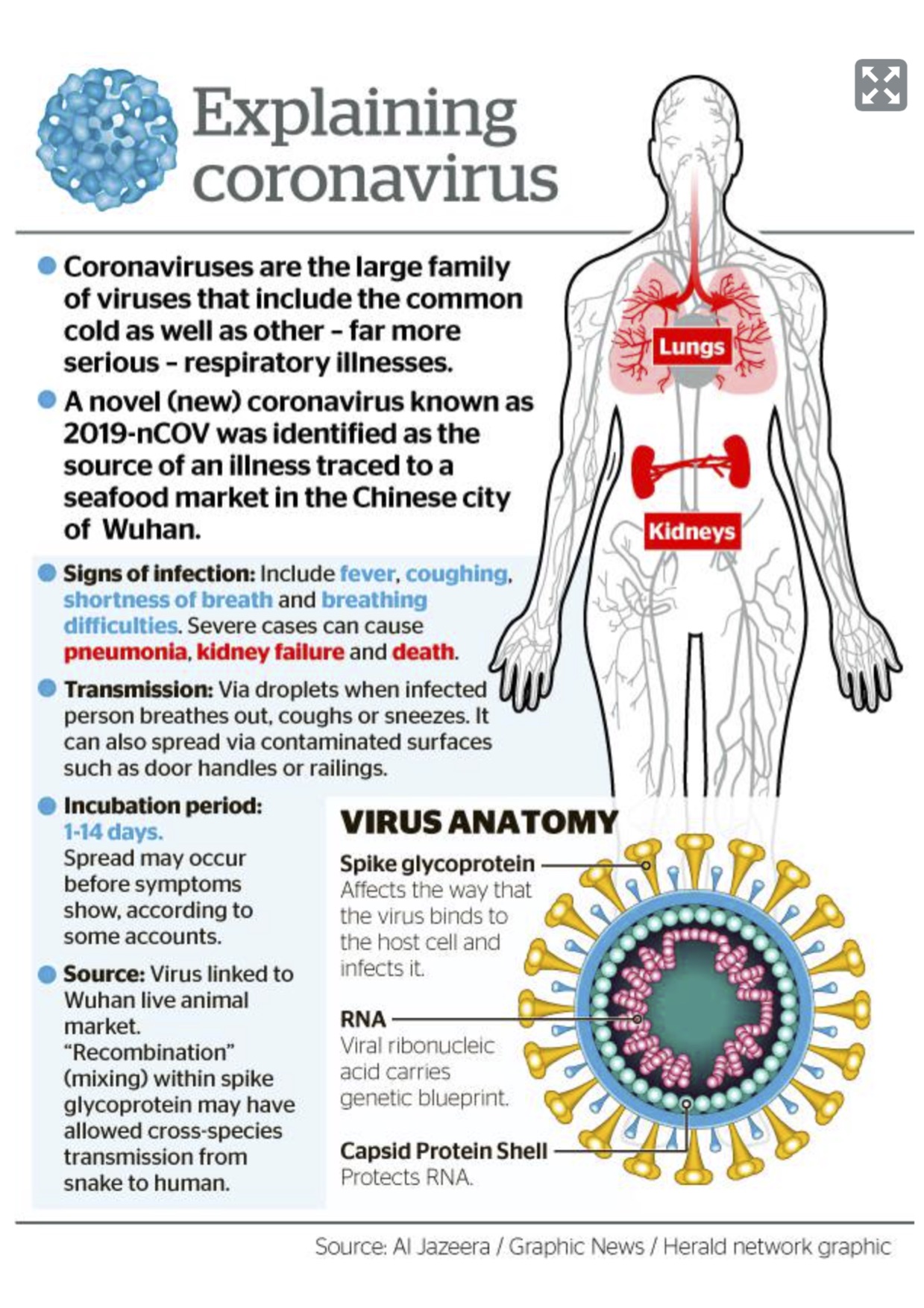 Coronavirus